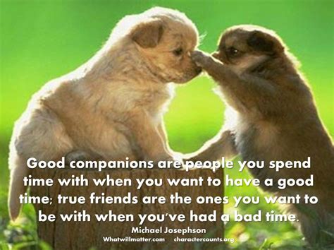 They might even purr in agreeance or, maybe, bite in disagreement. Companion Dog Quotes. QuotesGram