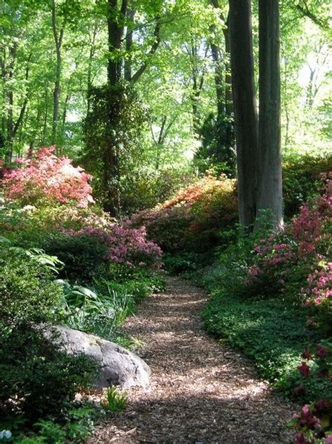 Beautiful Garden Path Walkways Ideas 26 Woodland Garden Design