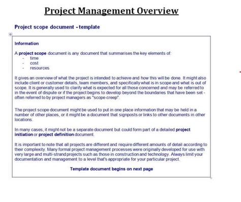 12 Sample Project Overview Templates Word Word Excel Fomats