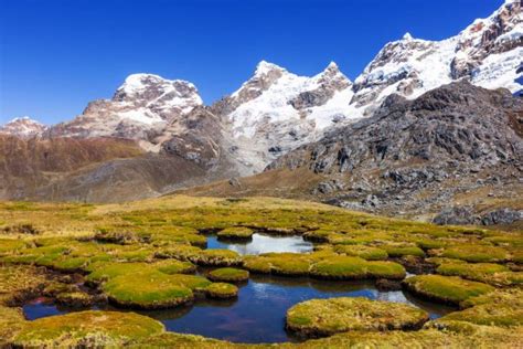 Beautiful Nature Landscape In Patagonia Argentina — Stock Photo