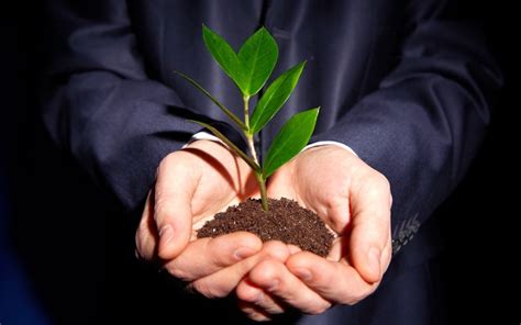 Helping To Grow Your Business