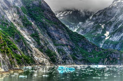 Tracy Arm Alaska Glacier Free Photo On Pixabay Pixabay