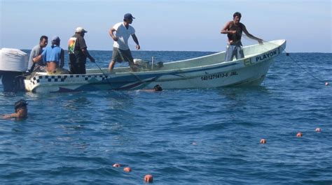 Buenas Noticias Con La Reactivación De La Pesca En Yucatán La Verdad