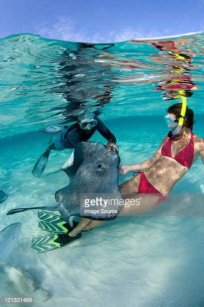 snorkel grand cayman photos and premium high res pictures getty images