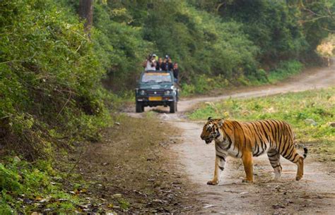 Top Wildlife Sanctuaries National Parks In Odisha Tusk Travel Blog