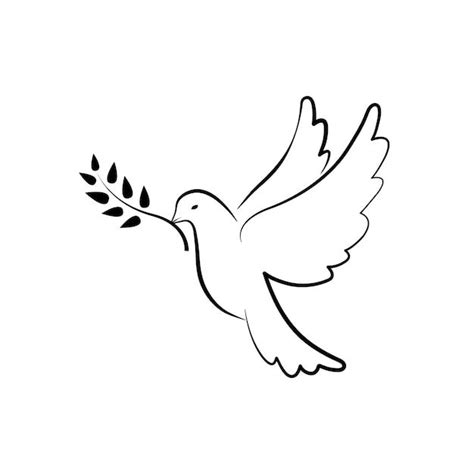 Symbol Der Friedenstaube Taube Mit Olivenzweig Handgezeichnete Taube