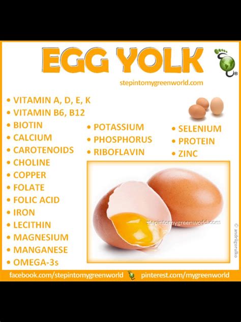 Benefits Of Eating Eggs Eat The Yolk People Benefits Of Eating