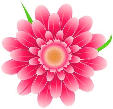 Transparent Pink Flower Clipart PNG Image | Flower images free, Flower clipart, Flower clipart png