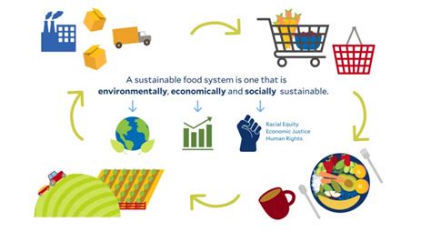 Trasformazione Sostenibile Del Sistema Alimentare Cosa Necessario