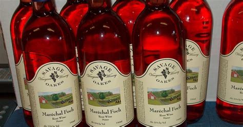 Hello kraus, please explain to me what is the difference between wine grapes and table grapes. WineCompass: The United Grapes of America - Maine's Savage ...