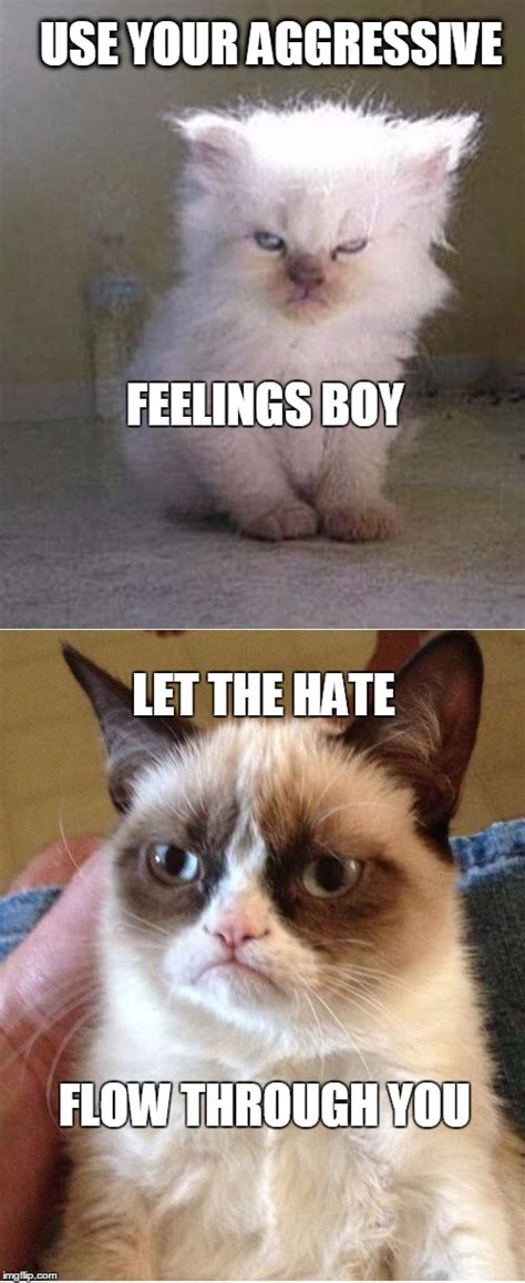 Grumpy Cats Imgflip