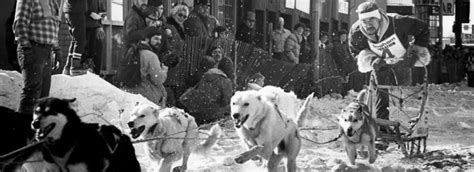 Champion Sled Dogs George Attla Making Of A Champion