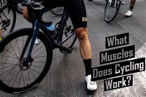 What Muscles Does Cycling Work Heres How To Maximize Gains