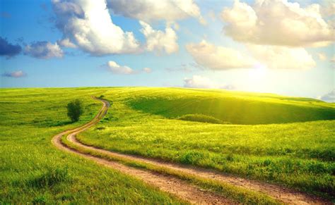 Field Path Wallpaper Nature And Landscape Wallpaper Better