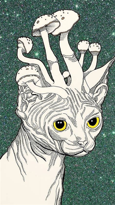 Stoner trippy wallpaper android download design wallpapers ideas in 2020 pop art wallpaper trippy wallpaper hypebeast wallpaper. Stoner iPhone Wallpapers - Top Free Stoner iPhone ...