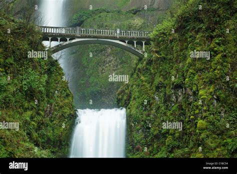 Multnomah Falls Columbia River Gorge National Scenic Area Oregon Usa