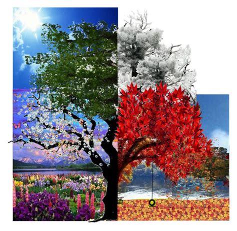 17 Best Images About Four Seasons Collages On Pinterest Disney Trees