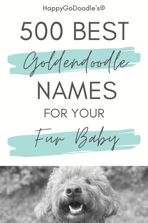 Best Goldendoodle Names 500 Doodle Names Youll Love Happy Go Doodle
