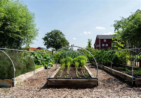 10 Edible Garden Ideas To Steal From Michigans Favorite Foodie Farmers