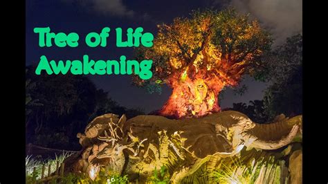 Tree Of Life Awakening Animal Kingdom Nighttime Show 4k