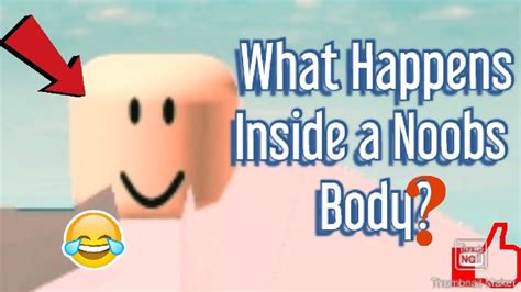 What Happens Inside A Noobs Body Roblox Youtube