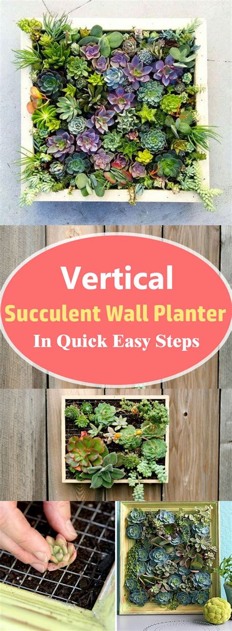 Vertical Succulent Wall Planter In Quick Easy Steps Diy