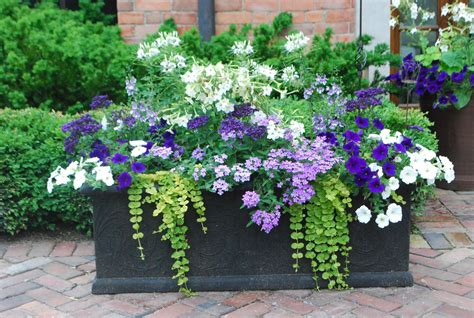 20 Ideas For Planting Flowers In Pots