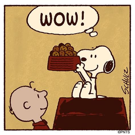 Snoopy And The Peanuts Gang Snoopygrams Instagram Photos And