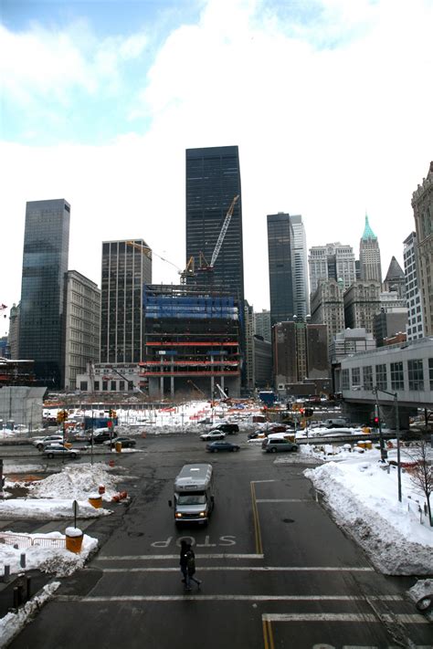 Free Images : tree, branch, snow, winter, flower, city, downtown