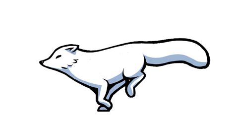 White Fox Png Image Background Png Arts