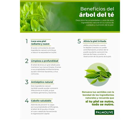 El árbol de té 5 beneficios en el cuidado de la piel Palmolive
