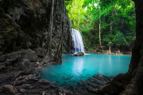 Jungle Landscape With Flowing Turquoise Water Cool Digital Photography