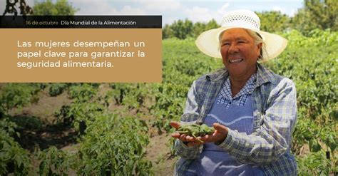 Las Mujeres Son Agente Clave Para La Seguridad Alimentaria Instituto