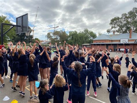 Nutbush City Limits Ymca And Hokey Pokey Are Crowd Pleasers Among Others Unley Primary