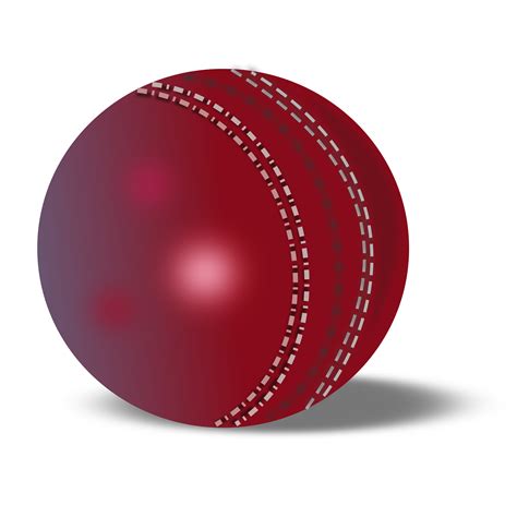 Cricket Clipart Images Png Format