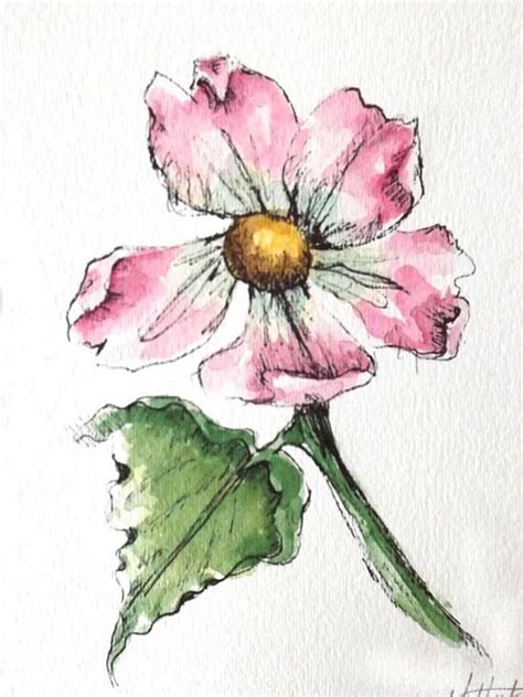 Original Artwork Of A Pink Rose Rendered In Pen Ink And Watercolor It