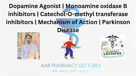 Dopamine Agonist Monoamine Oxidase B Inhibitors Catechol O Methyl Transferase Comt