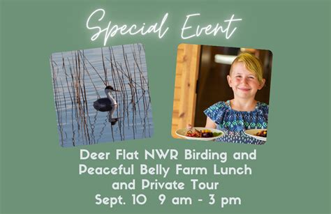 Birding Deer Flat And Peaceful Belly Lunch Fundraiser — Golden Eagle