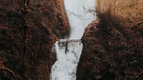 Download Wallpaper 1920x1080 Waterfall Flow Water Grass Branches