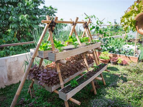 11 Urban Gardening Tips You Need To Know Mini Urban Farm