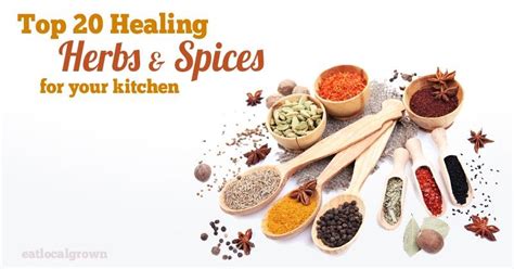 Top 20 Healing Herbs And Spices For Your Kitchen Cancer Fighting