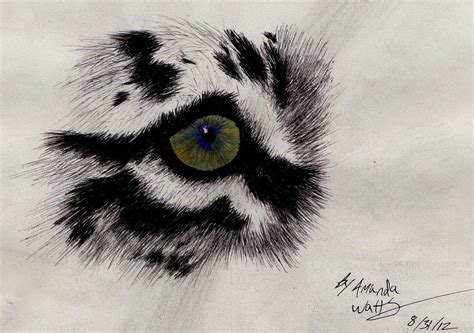 Tiger Eye Sketch By Blackfoxchibi13 On Deviantart
