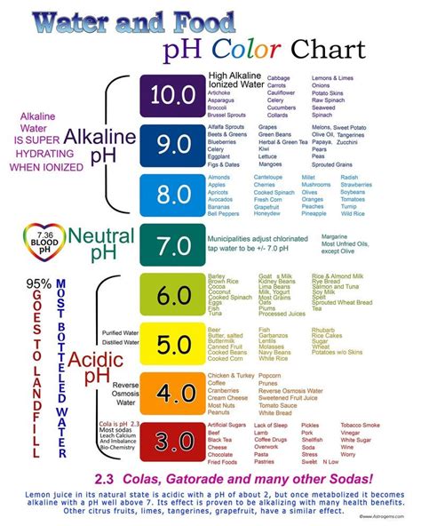 Water And Food Ph Color Chart Etsy Alkaline Foods Chart Color Chart Alkaline Foods List