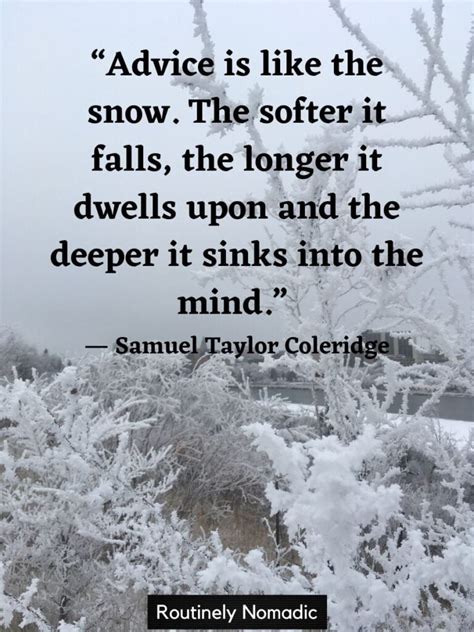 100 Best Funny Snow Quotes For Those Snowy Days Routinely Nomadic