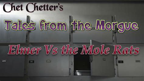 chet chetters episode 6 tales from the morgue elmer vs the mole rats youtube