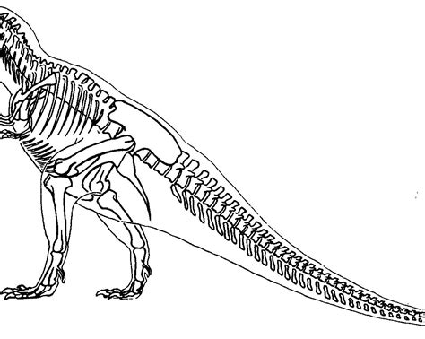 Dinosaur Skeleton Printable