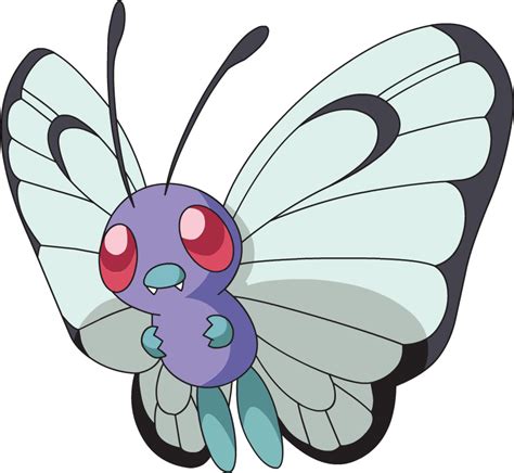 Butterfree has a large purple body with light blue limbs and a nose with very small fangs. Image - Butterfree AG anime.png - Sonic Pokémon Wiki