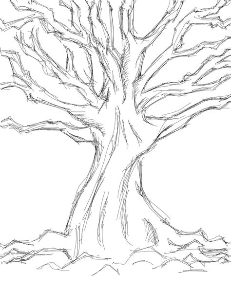 Tree Sketch Step By Step At Explore Collection Of