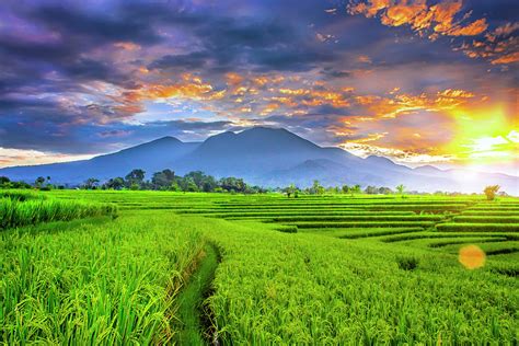 Landscape Photography Beauty Morning With Sunrise At Paddy