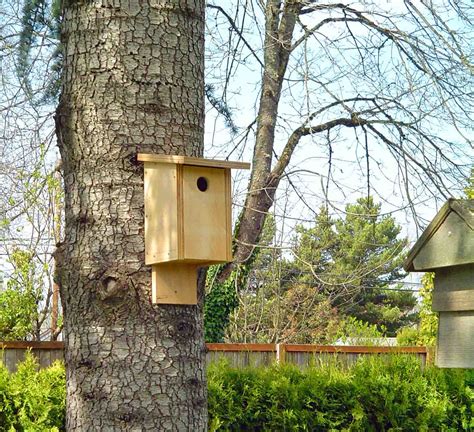Build A Birdhouse Its Easy Welcome Wildlife